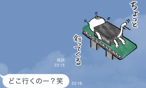 【限定スタンプ】ゾゾタウン箱猫マックス第2弾 スタンプ(2015年07月20日まで) (13)