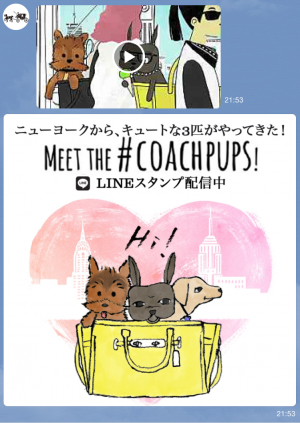 【隠しスタンプ】Meet the #coachpups スタンプ(2015年10月20日まで) (5)