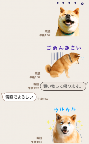 【公式スタンプ】柴犬まる スタンプ (7)