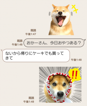 【公式スタンプ】柴犬まる スタンプ (3)