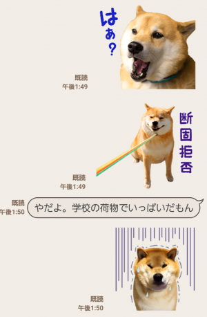 【公式スタンプ】柴犬まる スタンプ (5)