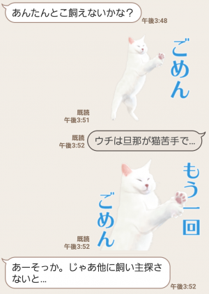 【人気スタンプ特集】自由すぎる！無重力猫ミルコ スタンプ (6)