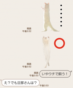 【人気スタンプ特集】自由すぎる！無重力猫ミルコ スタンプ (7)