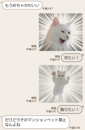 【人気スタンプ特集】自由すぎる！無重力猫ミルコ スタンプ (5)