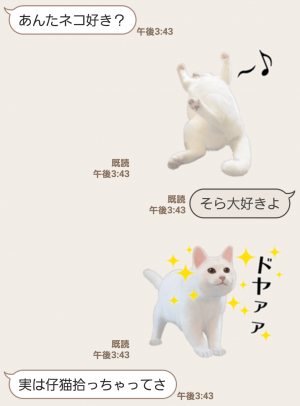【人気スタンプ特集】自由すぎる！無重力猫ミルコ スタンプ (3)