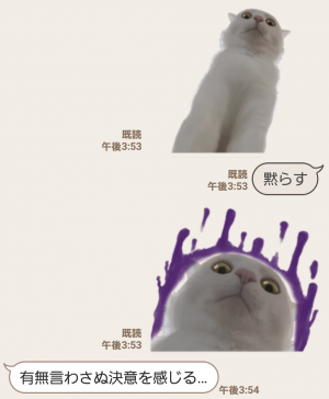 【人気スタンプ特集】自由すぎる！無重力猫ミルコ スタンプ (8)