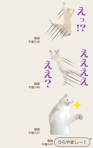 【人気スタンプ特集】自由すぎる！無重力猫ミルコ スタンプ (4)