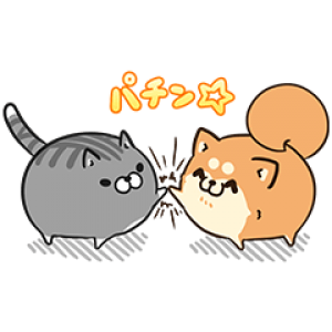 【無料スタンプ速報】ボンレス犬猫 x 便利アカウント スタンプ(2016年11月21日まで)