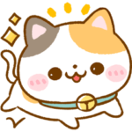 大人の気遣い♡ねこねこにゃんこ