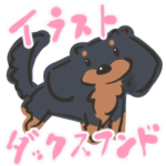 イラストなダックスフンド