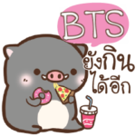 BTS pig pig lovely e