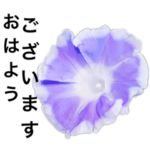 お花シンプル01