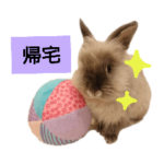 ライオンラビットのトトロくん⑼