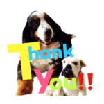 高原家ワンズスタンプ