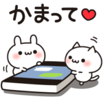 小さいうさネコ