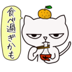 しろねこ ロック6 "2017 New Year"