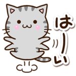 ずっと使える★おちゃめなアメショ