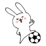サッカー大好き白うさぎ