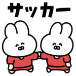 サッカーうさぎ