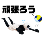 元気な50代〜バレーとシズパンダ♪