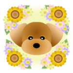 かわいい♪トイプードル2