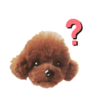 柴犬なつこ&トイプードルめぐ　日常会話