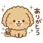 基本セット♥ちびトイプー