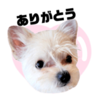 Poohの愉快な日常