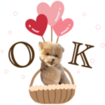 ChuChuのバレンタイン