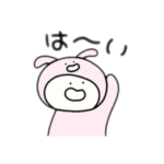 まんまる、うさぎのゆきまる