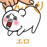 エロ さん可愛いハムスターが来だ！