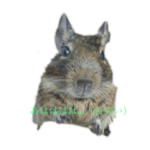 笑い系デグ太朗スタンプ