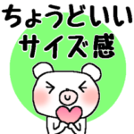 ちょうどいいサイズ感＊ふんわり＊くまさん