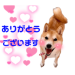 鬼のようにかわいぃーまめたんスタンプ2