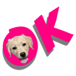 ラブラドールのリリーちゃん　挨拶編