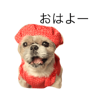 還暦がっちゃん♡