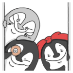 ハロー！アゴヒゲペンギンさん３