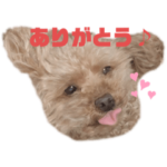 チェリーさん＆レモンくん