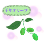 ビストロ オリーブ