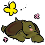 スッポンのおはぎちゃん