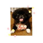 黒ペキあんころ餅の餡ちゃん