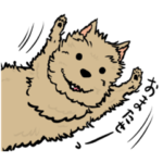 わしゃわしゃ テリア