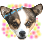 いぬのきもち・日常あいさつ