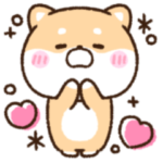 毎日使える♡もちしば