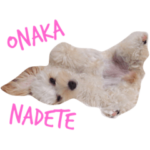 犬築田さんのきもち