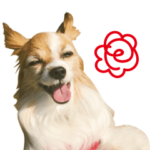 いぬのきもち×みんなでスタンプvol.1