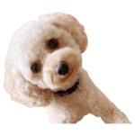 いぬのきもち×みんなでスタンプvol.2