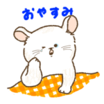 アメリカンカール