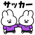 サッカーうさぎ