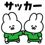 サッカーうさぎ